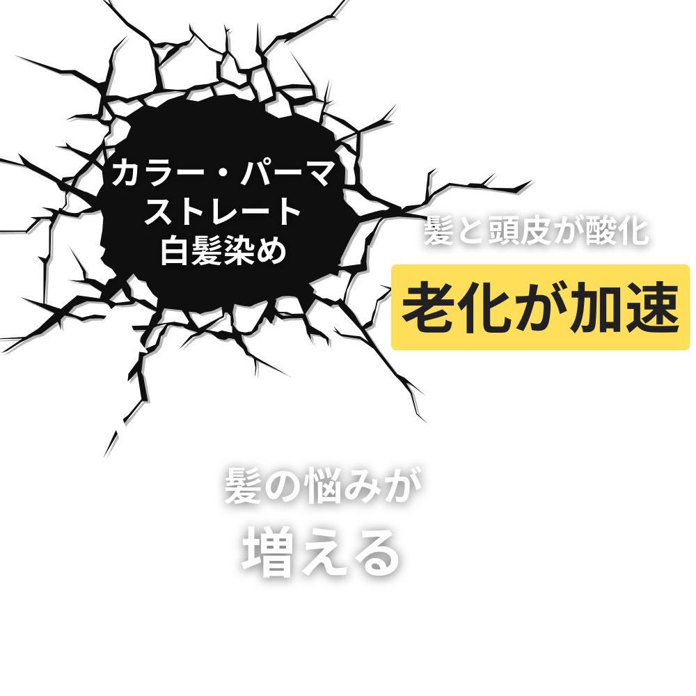 白髪老化ケアカラー公式サイト