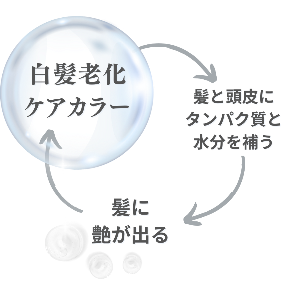 白髪老化ケアカラー公式サイト